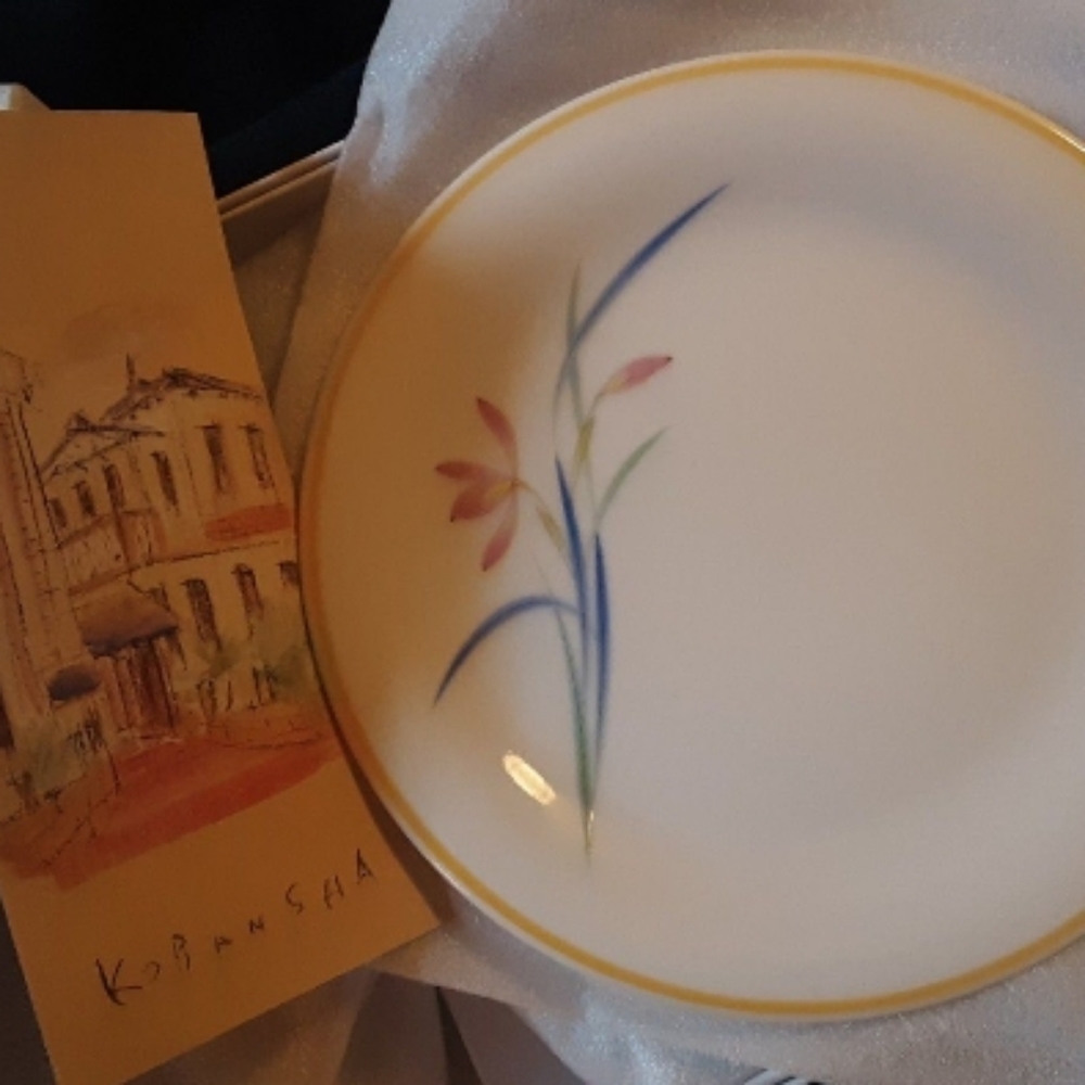 KORANSHA Porcelain PLATES Handpainted Fukgawa Japan GIFT QUALITY ~ BOX of 5